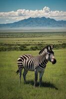 A zebra stands in a lush green landscape with mountains in the background under a blue sky. photo