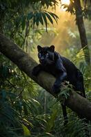 A black panther resting on a tree branch in a lush, sunlit jungle. photo