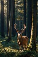 A majestic deer stands in a sunlit forest, surrounded by lush greenery and tall trees. photo