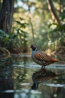 A bird wades through a serene waterway, reflecting its image amidst lush greenery. photo