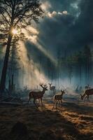 A serene forest scene with deer illuminated by sunlight breaking through dark clouds. photo