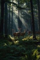 Three deer stand in a sunlit forest, surrounded by ferns and trees, creating a serene atmosphere. photo