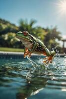 A vibrant frog leaps out of a pool, creating splashes in a sunny, tropical setting. photo
