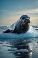 A seal resting on ice, surrounded by a tranquil ocean landscape at sunset. photo