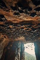 A cave filled with bats, showcasing their roosting behavior and flight patterns. photo