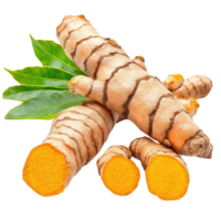 Fresh Turmeric Roots with Leaves png