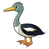 Cartoon duck on white background vector