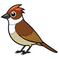 A cartoon bird with a red mohawk vector