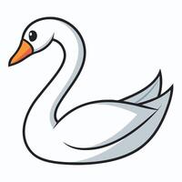 A white swan with orange beak on a white background vector