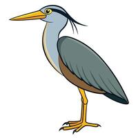 A cartoon heron standing on a white background vector