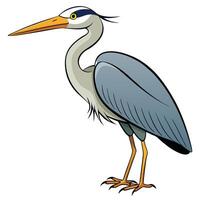 A cartoon heron standing on a white background vector