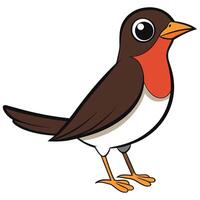 Cartoon robin bird with red beak and white feet vector