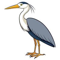 Heron cartoon illustration vector