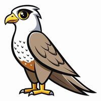A cartoon bird with a big beak and a white beak vector