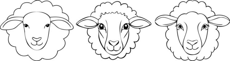 Black and White Sheep Head Line Drawing vector