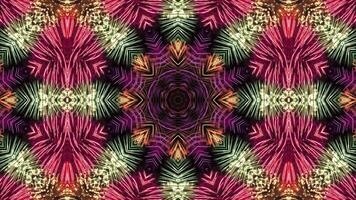 A vibrant kaleidoscopic pattern featuring star-like shapes and swirling lines in bright colors. video