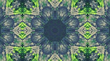 A symmetrical, kaleidoscopic design featuring greenery and architectural elements. video