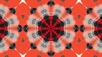 A symmetrical abstract pattern featuring black and white shapes with intricate designs. video