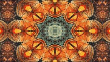 A symmetrical abstract design featuring vibrant colors and intricate patterns. video