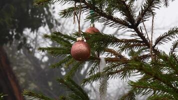 Bronze colored Christmas ornaments in shape of ball hanging at Christmas tree and shaking by wind. Holiday decor Christmas balls covered with raindrops while drizzle rain instead of winter snowing video