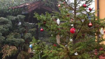 Baubles hanging at conifer tree swaying by wind in foggy weather. Rain instead of snowing in winter due to climate change and global warming. Christmas ornaments on xmas tree under drizzle video