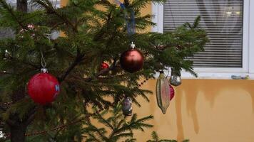 Retro Christmas ornaments hanging on wet fir branches of Christmas tree. Baubles sway in wind under rain instead of snow in winter due to climate change. Christmas tree at backyard of yellow house video