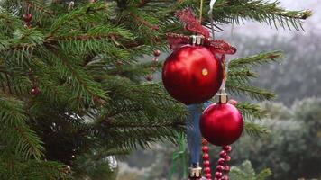 Red Christmas ornaments in shape of balls hanging on wet fir branches of Christmas tree with raindrops on needles. Christmas balls sway in wind and rain instead of snow in winter due to climate change video