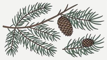 Christmas tree elements. 3d render. spruce twigs set. coniferous clip art collection. vector