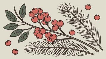 Merry Christmas flatlay with spruce branches and bright red berries. Concept of holiday cheer. vector
