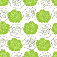 Green vegetable cabbage pattern. Healthy farm fresh food, Brussels sprouts, lettuce or iceberg lettuce. vector