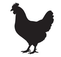 silhouette of a chicken on white background. vector