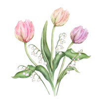 Bouquet of Pastel multi-colored Tulips and tender poured lily of the valley. Watercolor Hand drawn illustration delicate garden composition perennial bulbous flower for spring wedding design or card png