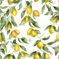 Seamless pattern with watercolor illustration of Lemon or Lime with white flowers. Hand painted print with lemon branche with green leaves on isolated. Citrus food for wrapping paper or textile design png