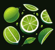 Whole, sliced, and halved limes with leaves and juice droplets vector
