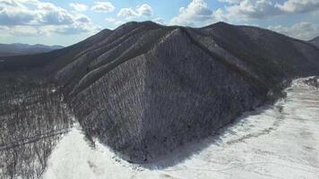 View from the drone o the winter mountain steeped by the forest video