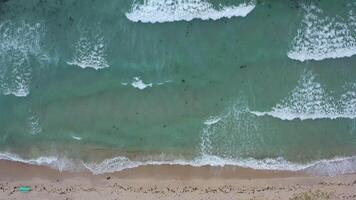 Aerial view of the sea and sandy beach in summer. Sea beach with ocean wave foam video