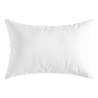 une plaine blanc oreiller avec une froufrous bord, photographié contre une transparent Contexte. png