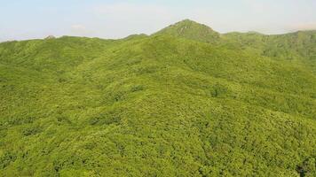 Cinematic shot of endless mountains and forests in the Russian Far East video