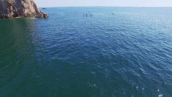 Drone view of a group of sup surfers at sea on a bright sunny day video
