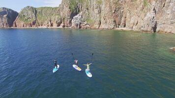 Drone view of a group of sup surfers at sea on a bright sunny day video