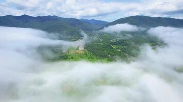 Drone shot mountain covered with forest on a sunny day shrouded in fog. video