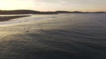 Drone view of surfers waiting for a wave in the sea at sunset video