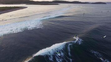 Drone view of surfers ripping the waves in the sea at sunset video