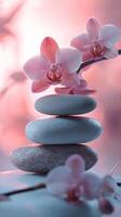 Balanced stones with pink orchids on reflective surface in tranquil setting by water photo