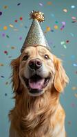 Golden retriever with a party hat celebrating with colorful confetti in the background photo