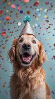 Golden retriever with a party hat celebrating with colorful confetti in the background photo