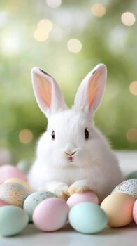 White rabbit surrounded by colorful Easter eggs on a light background photo