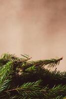 Christmas frame or border with Christmas tree branches on pastel background. Copy space. Winter and New Year background. Vertical photo