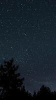 Time lapse of moving galaxy milky way in starry sky. Vertical video