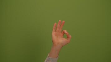 A Minimalist Green Background Enhanced with Subtle and Elegant Details for Design video